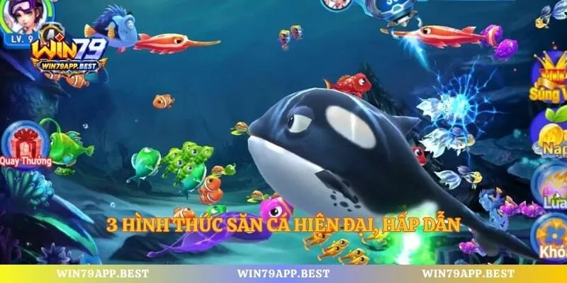 3 hình thức săn cá hiện đại, hấp dẫn