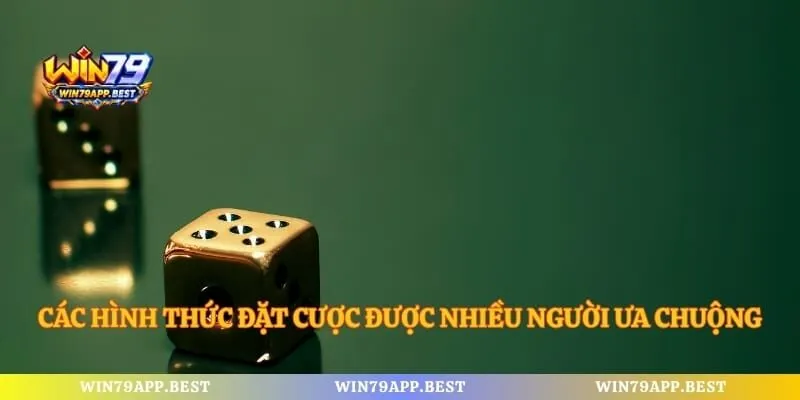 Các hình thức đặt cược được nhiều người ưa chuộng