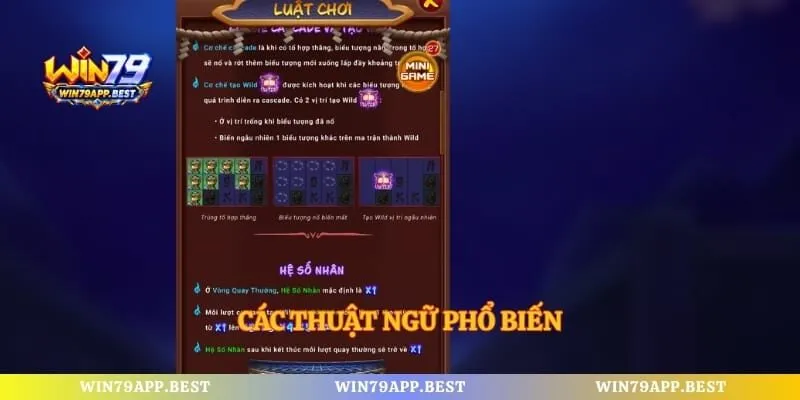 Các thuật ngữ phổ biến