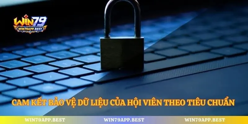 Cam kết bảo vệ dữ liệu của hội viên theo tiêu chuẩn quốc tế