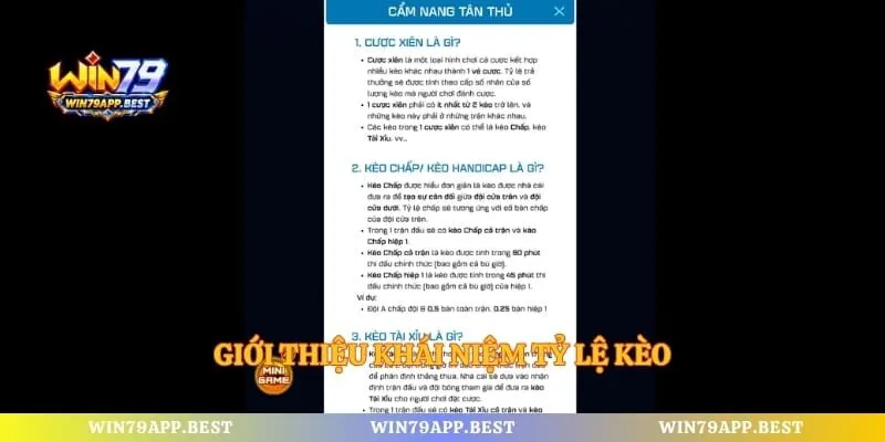 Giới thiệu khái niệm tỷ lệ kèo