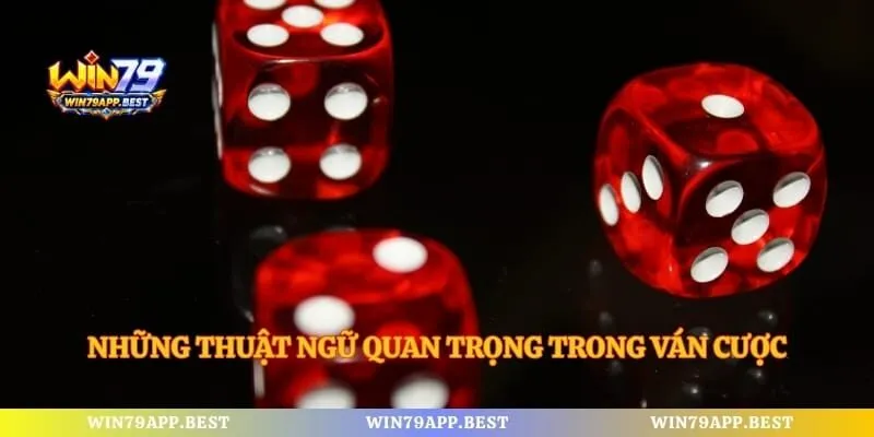 Những thuật ngữ quan trọng trong ván cược