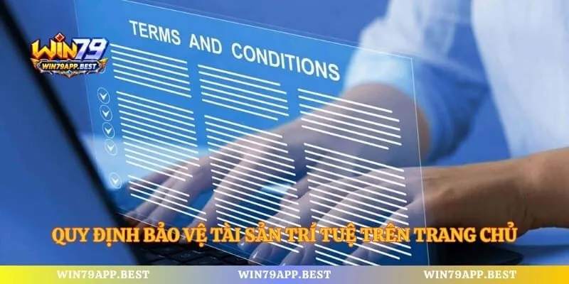 Quy định bảo vệ tài sản trí tuệ trên trang chủ