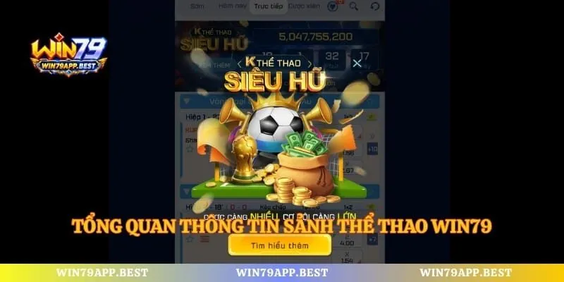 Tổng quan thông tin sảnh thể thao Win79